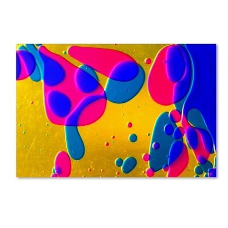 Beata Czyzowska Young 'Colour Fun I' Canvas Art,16x24